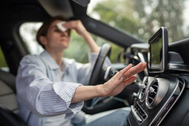 Best Thermostats and Smart Controls in Lake Summerset, IL